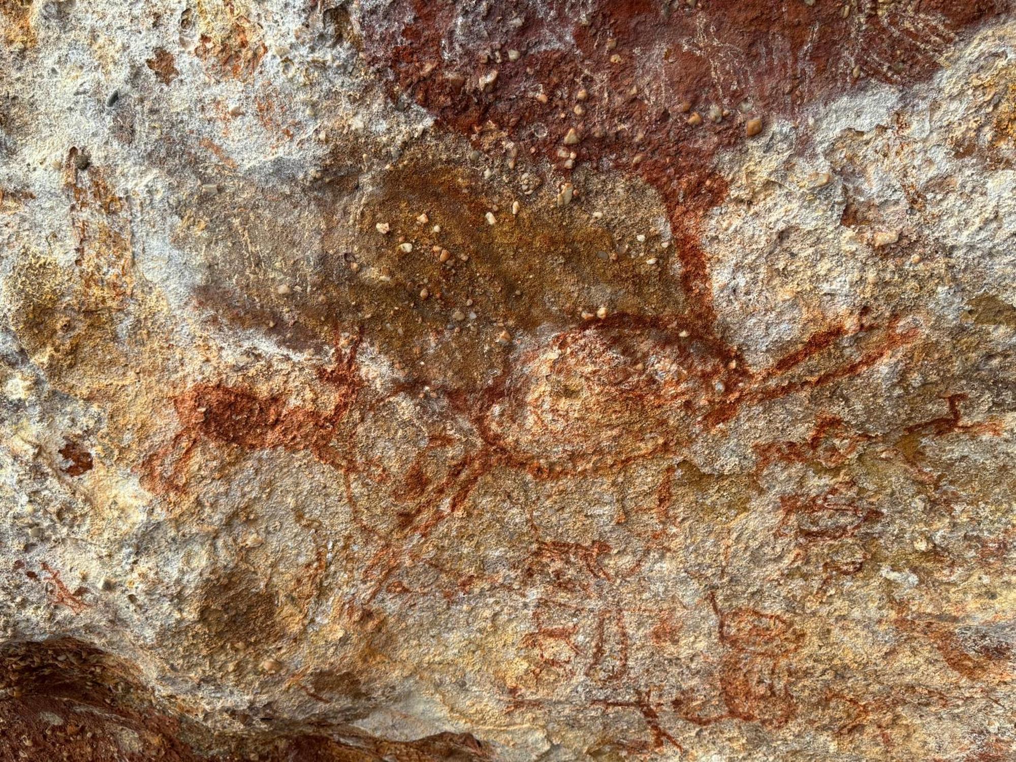 Casa Barreirinho Parque Nacional Serra Da Capivara Coronel Jose Dias Eksteriør billede