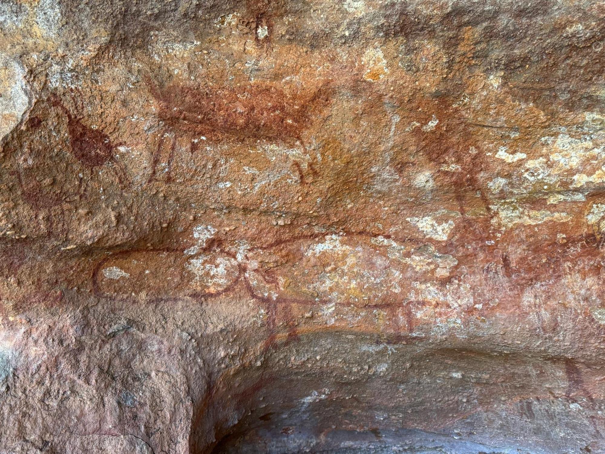 Casa Barreirinho Parque Nacional Serra Da Capivara Coronel Jose Dias Eksteriør billede