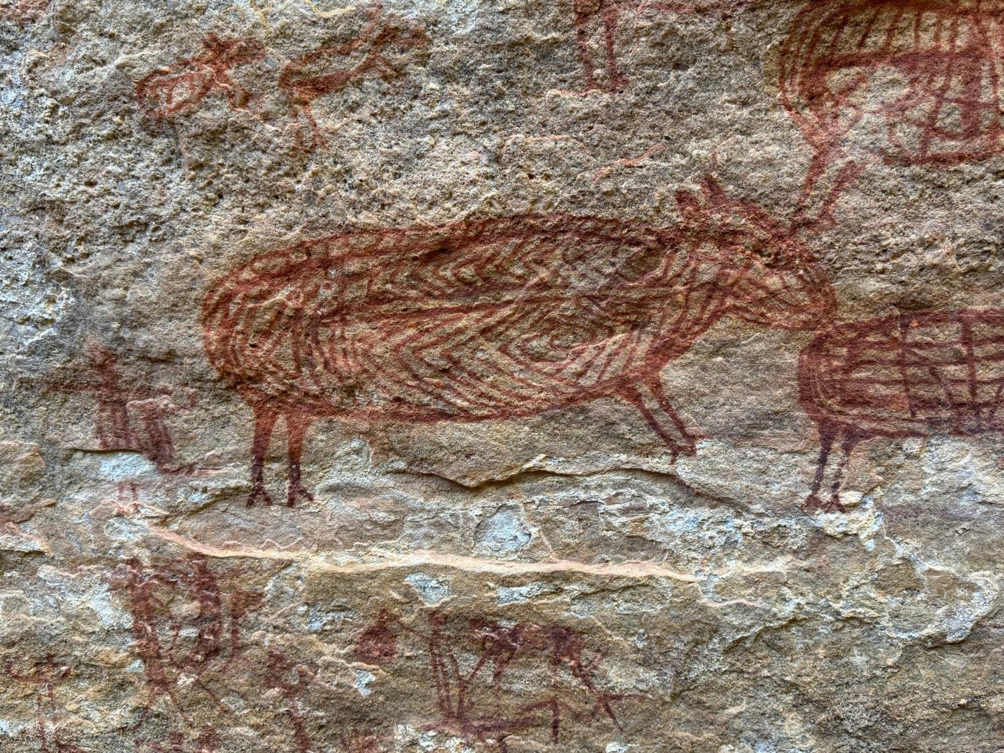 Casa Barreirinho Parque Nacional Serra Da Capivara Coronel Jose Dias Eksteriør billede