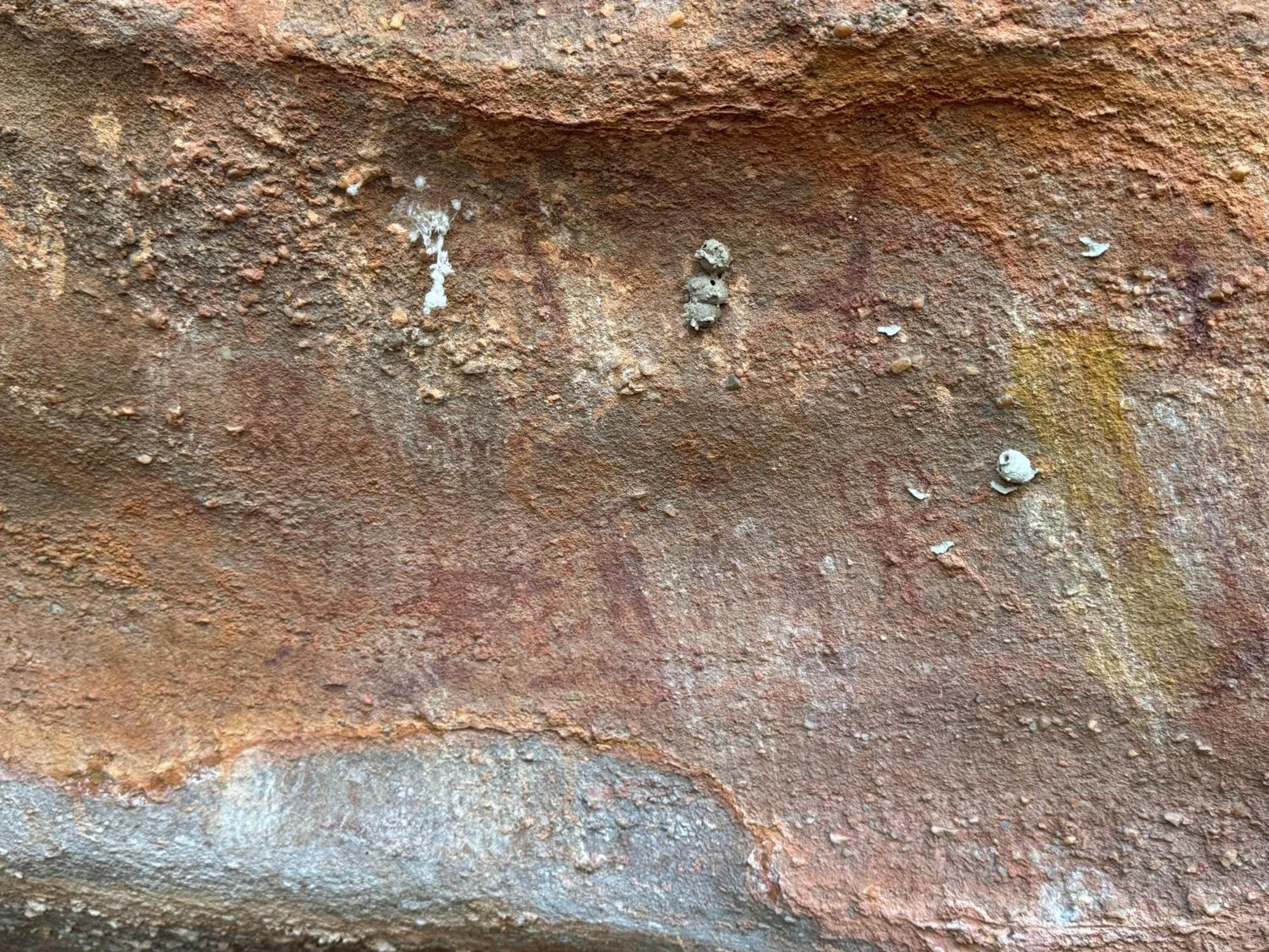 Casa Barreirinho Parque Nacional Serra Da Capivara Coronel Jose Dias Eksteriør billede