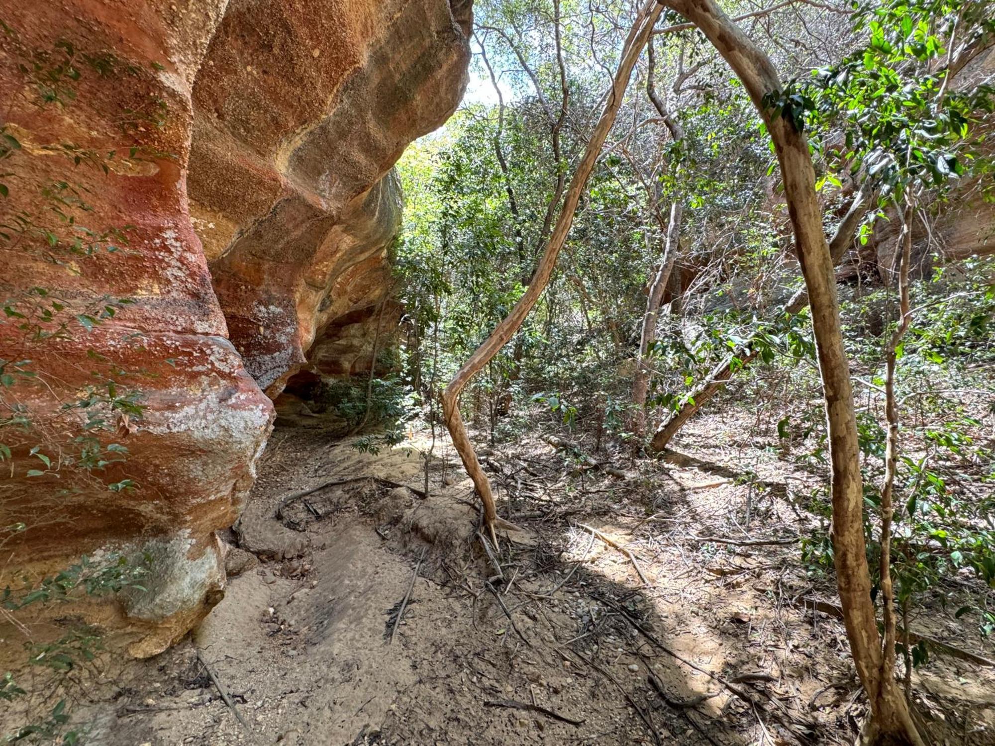 Casa Barreirinho Parque Nacional Serra Da Capivara Coronel Jose Dias Eksteriør billede