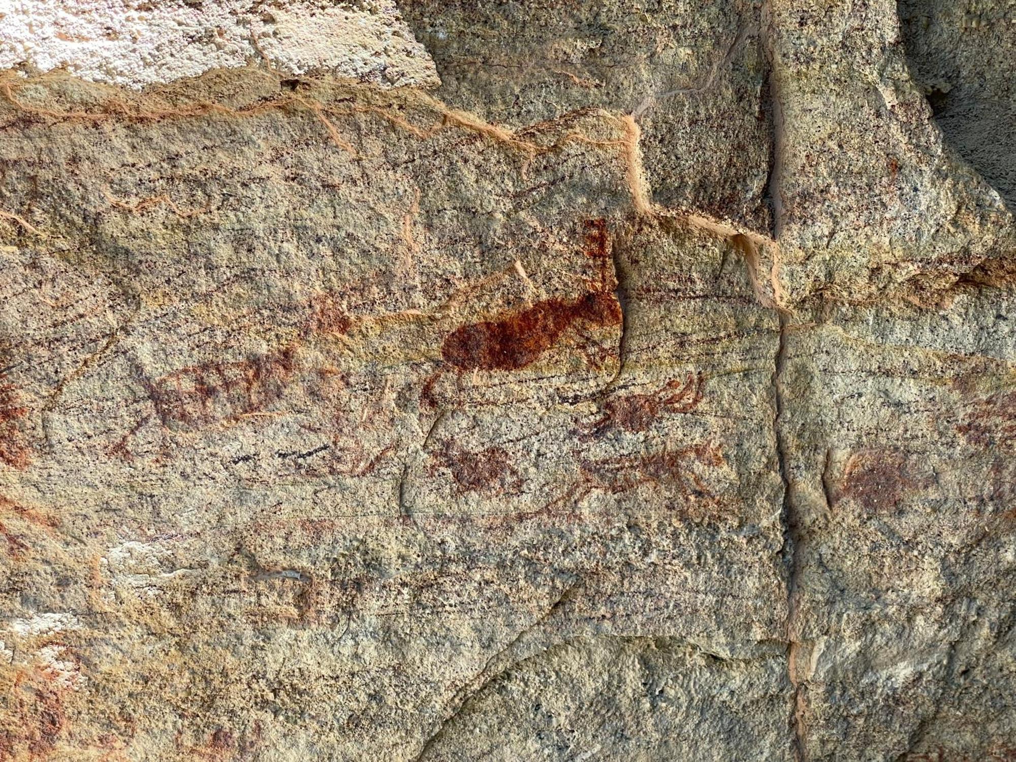 Casa Barreirinho Parque Nacional Serra Da Capivara Coronel Jose Dias Eksteriør billede