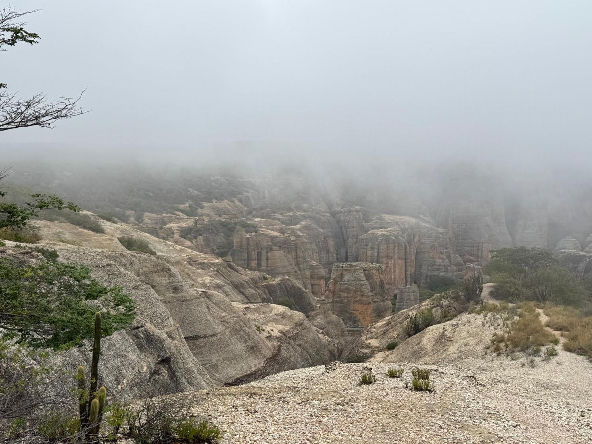 Casa Barreirinho Parque Nacional Serra Da Capivara Coronel Jose Dias Eksteriør billede