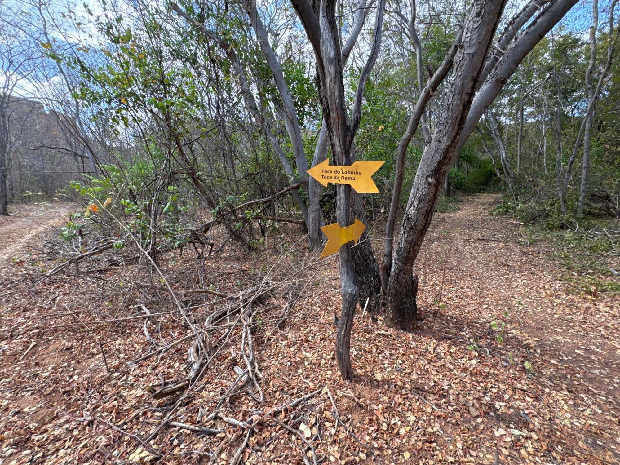 Casa Barreirinho Parque Nacional Serra Da Capivara Coronel Jose Dias Eksteriør billede