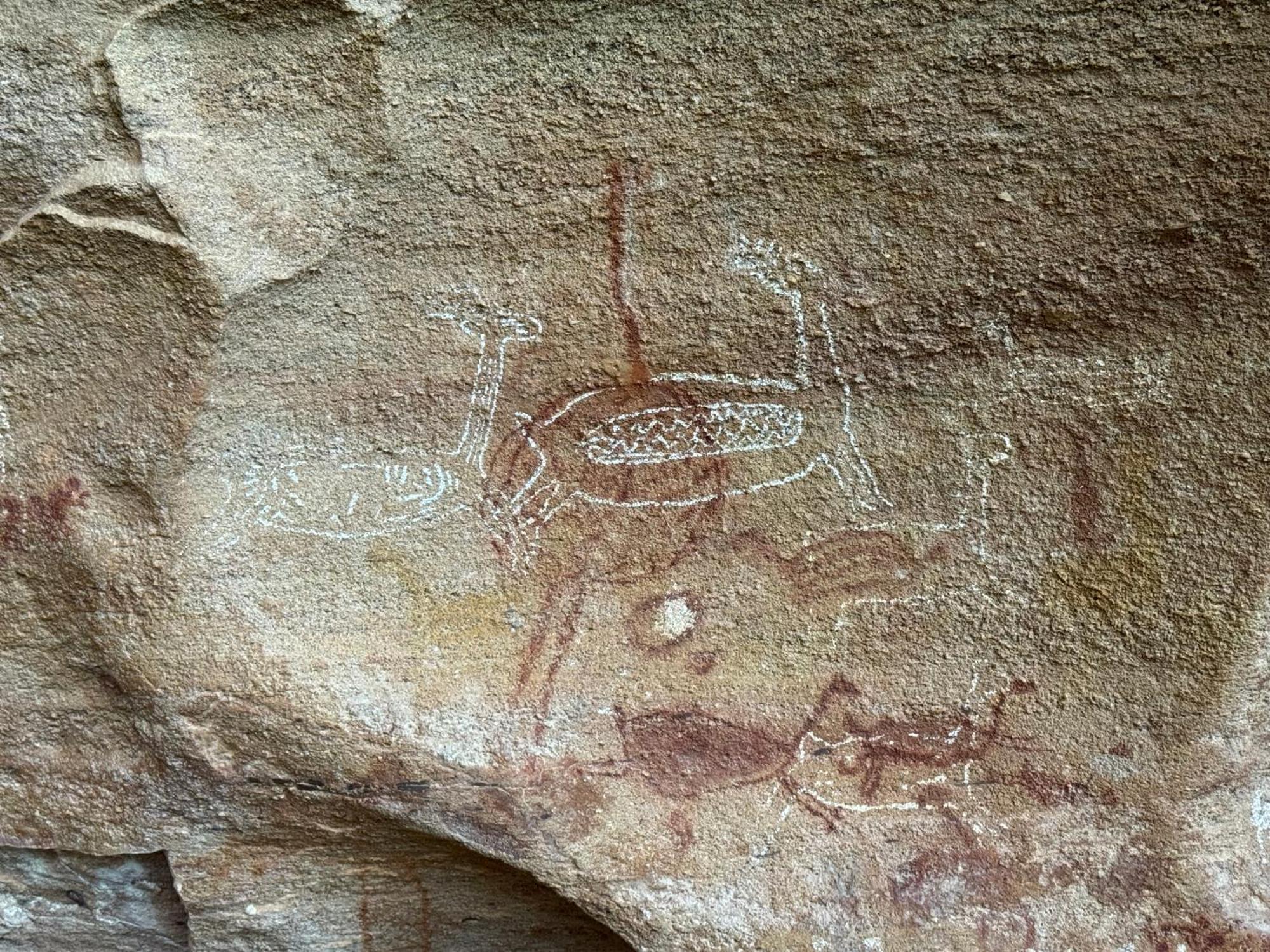 Casa Barreirinho Parque Nacional Serra Da Capivara Coronel Jose Dias Eksteriør billede