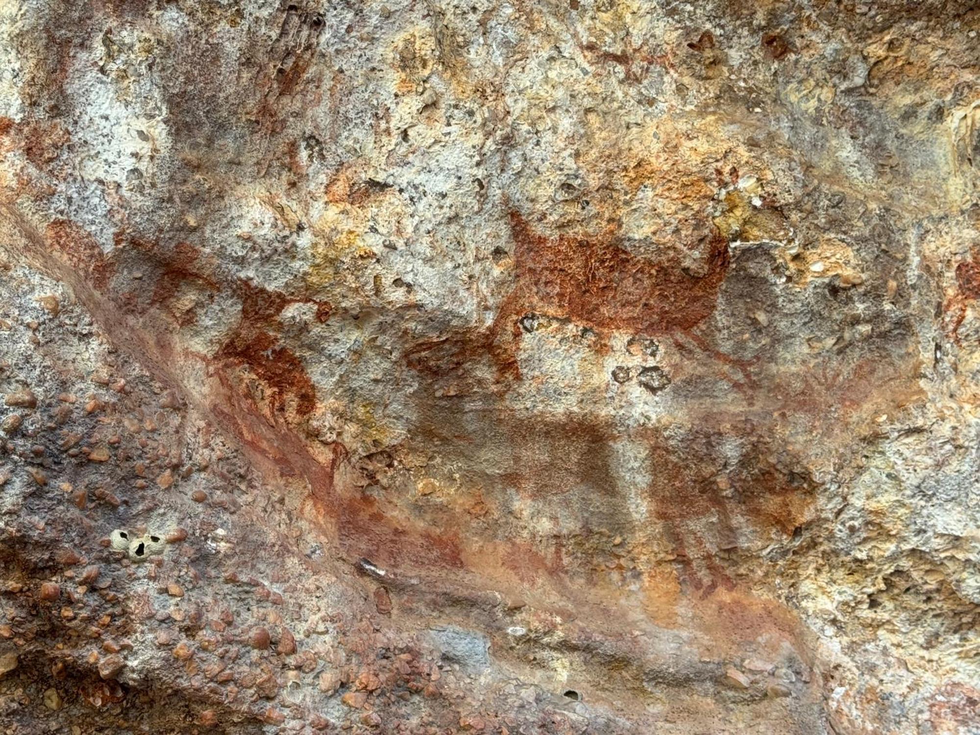 Casa Barreirinho Parque Nacional Serra Da Capivara Coronel Jose Dias Eksteriør billede
