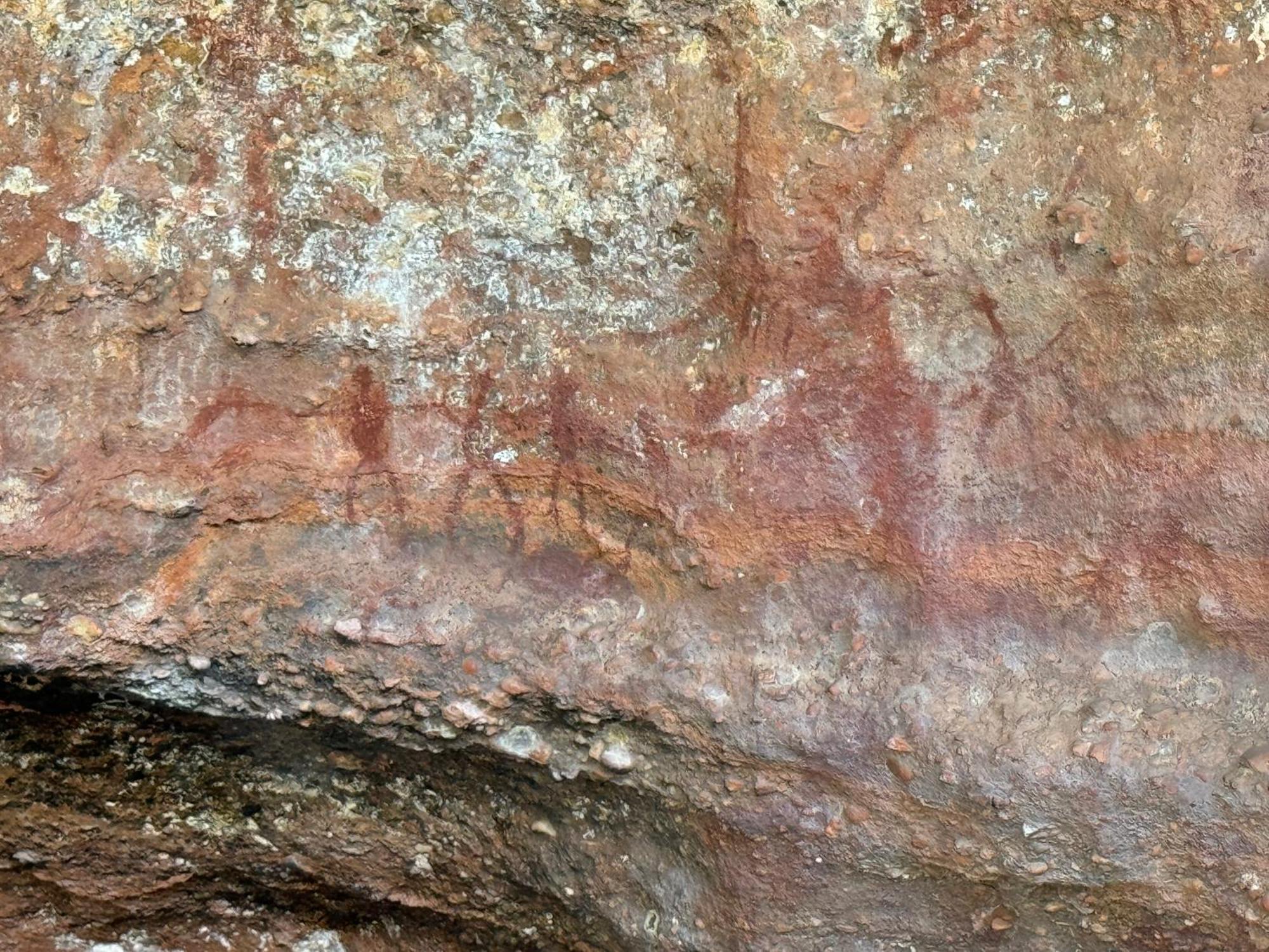 Casa Barreirinho Parque Nacional Serra Da Capivara Coronel Jose Dias Eksteriør billede