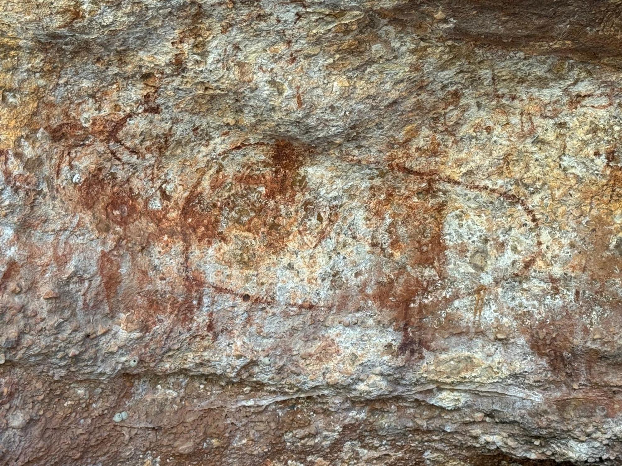 Casa Barreirinho Parque Nacional Serra Da Capivara Coronel Jose Dias Eksteriør billede
