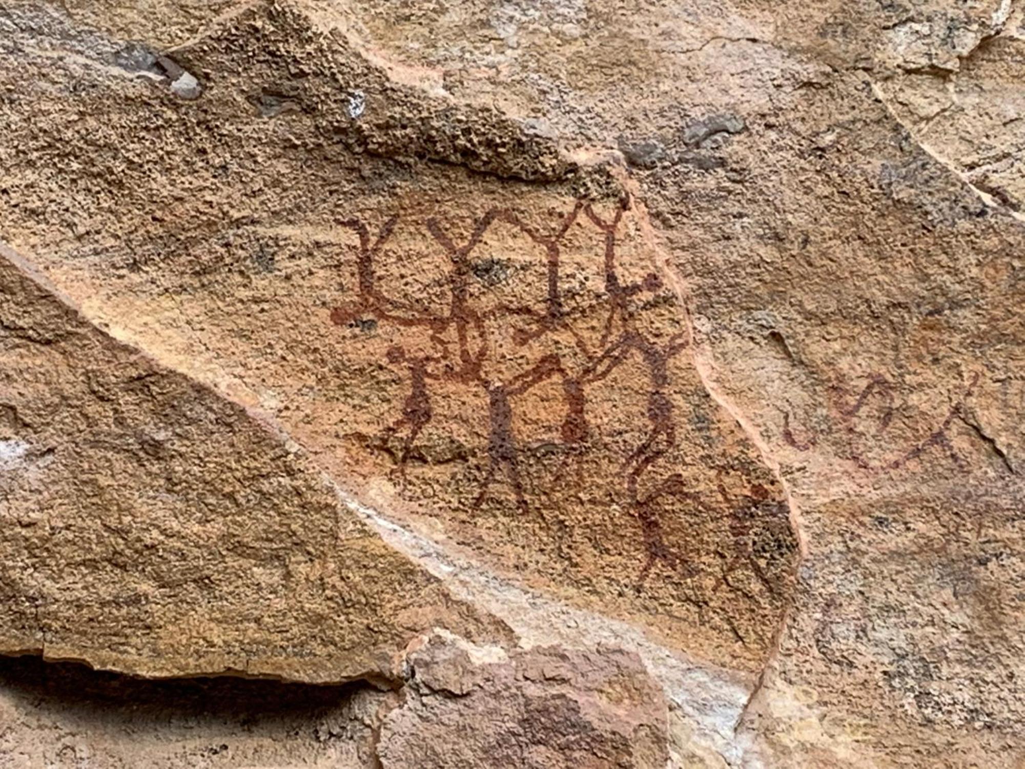 Casa Barreirinho Parque Nacional Serra Da Capivara Coronel Jose Dias Eksteriør billede